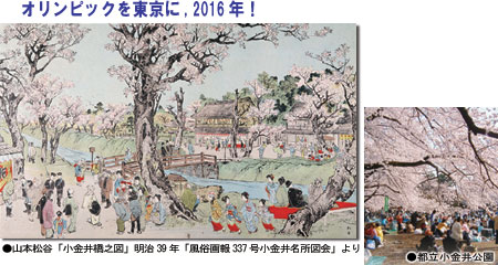 左、山本松谷「小金井橋之図」右、都立小金井公園