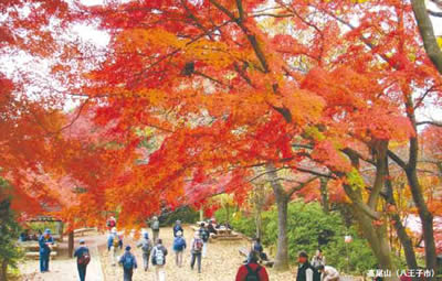 高尾山（八王子市）