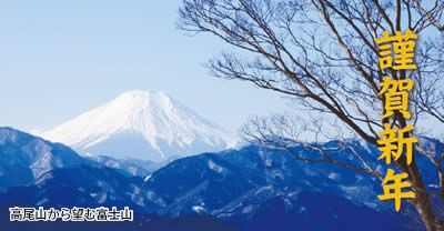 高尾山から望む富士山