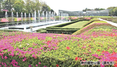 神代植物公園（調布市）