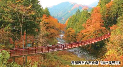 秋川渓谷の石舟橋（あきる野市）