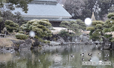 清澄庭園（江東区）