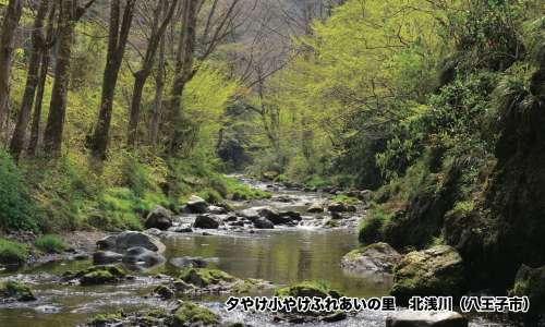 夕やけ小やけふれあいの里 北浅川（八王子市）