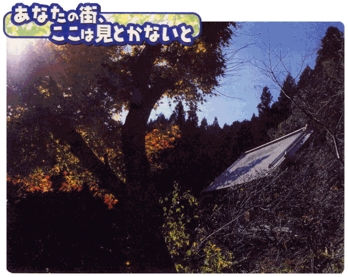 兜造りの民家