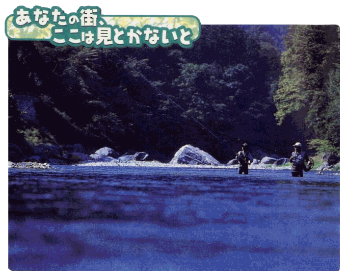 奥多摩の渓流釣り