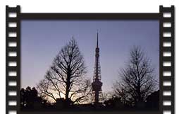 東京タワー夕景へ