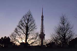 東京タワー夕景