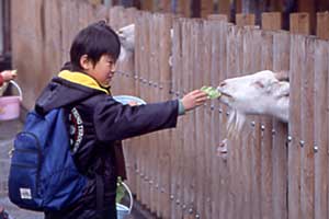 やぎ