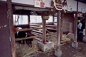 東板橋公園『こども動物園』